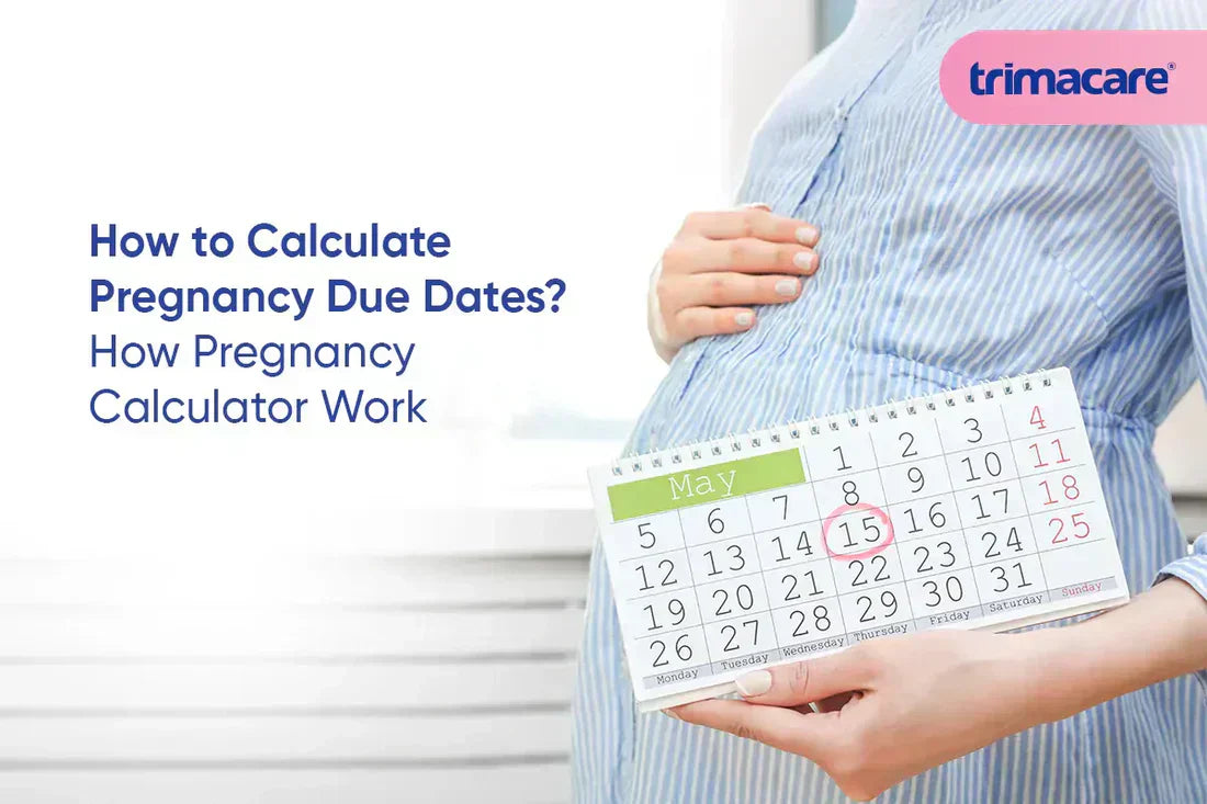 How to Calculate Pregnancy Due Dates? How Pregnancy Calculator Work