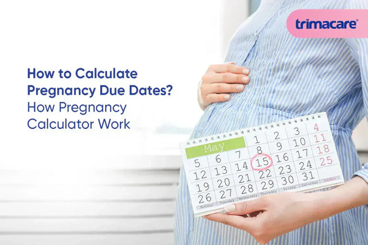 How to Calculate Pregnancy Due Dates? How Pregnancy Calculator Work